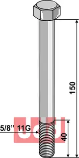 Bolt 5/8'' 11G