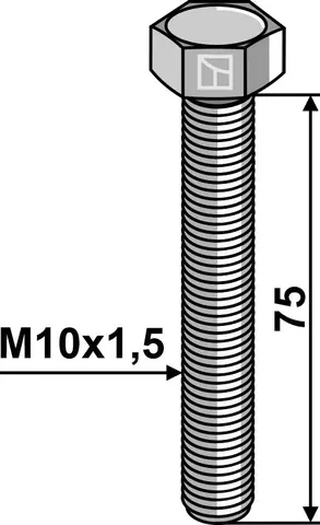 Bolt M10x1,5x75 10.9 u/mutter