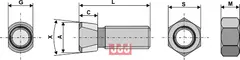 Plogbolt M16 x 2 x 55 med Mutter Frost