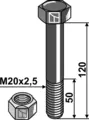 Bolt M20x2,5x120 10.9 m/mutter