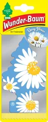 WUNDER-BAUM Daisy Flower 1-pk En Blomstereng i Hanskerommet
