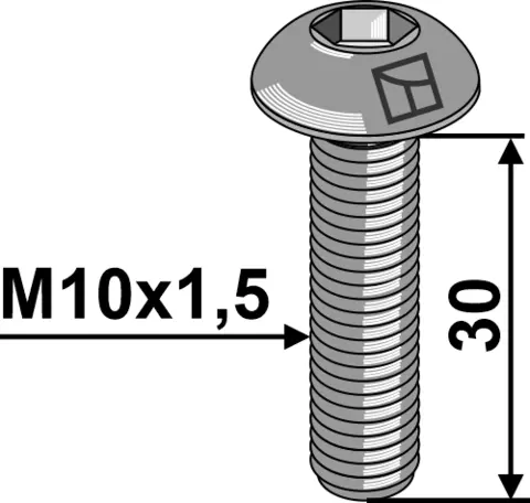 Låseskrue M10x1,5x30 10.9 M10x1,5