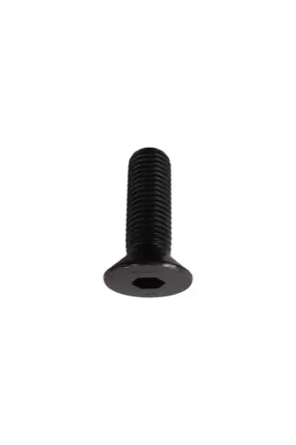 Hexagon socket screw M16x2, lengde 50 mm 