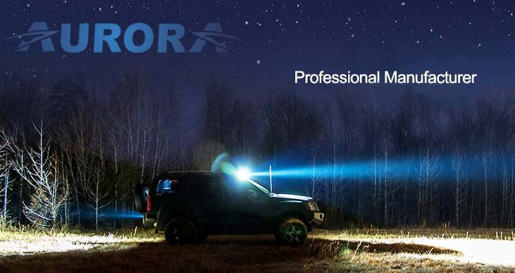 Aurora_Professional Manufacturer